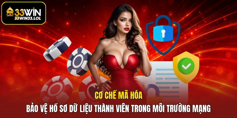 Cơ chế mã hóa bảo vệ hồ sơ dữ liệu thành viên trong môi trường mạng
